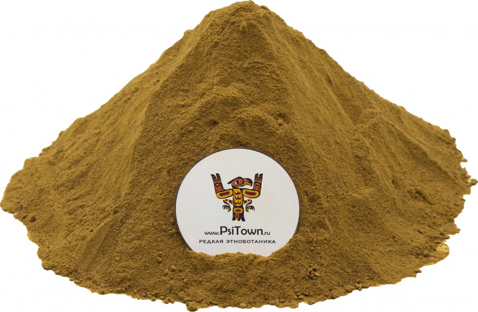 Шатавари, экстракт корня 20% сапонины (Shatavari, Asparagus extract) фото 1 — PsiTown