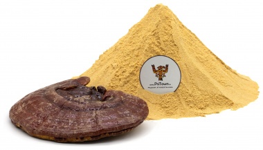 Рейши гриб, мицелий (Ganoderma lucidum, mycelium) — PsiTown
