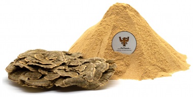 Траметис  разноцветный, мицелий (Turkey Tail, mycelium) — PsiTown