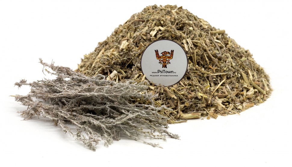 Полынь горькая, резанная (листья, стебли, цветы) фото 1 — PsiTown