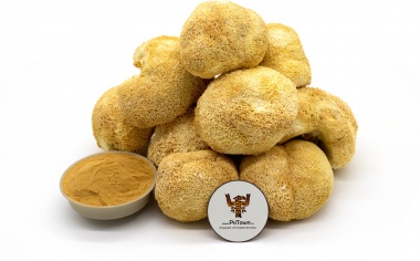 Ежовик Гребенчатый, экстракт (Гериций, Lion&#039;s Mane, 35% полисахаридов) — PsiTown