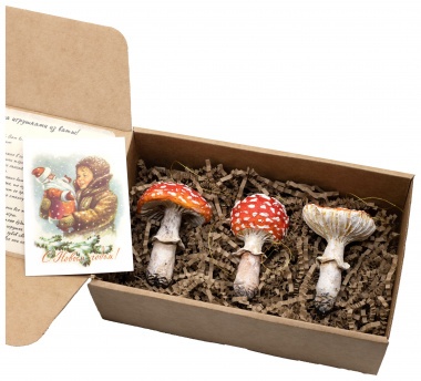 Подарочный набор &quot;Волшебство мухоморов&quot; — PsiTown