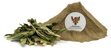 Аюга Туркестанская, экстракт (Ajuga Turkestanica, Живучка) — PsiTown