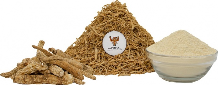 Жень Шень, экстракт (Panax Ginseng, 25% гинзенозидов) Корень Женьшеня – нарицательное имя в мире адаптогенов. На протяжении последних 3 тысяч лет он превозносится многими традиционными системами медицины за то, что мягко заряжает энергией, повышает умственные и физические возможности, укрепляет иммунитет и помогает справляться с любым стрессом.
Но Женьшень недаром называют «корнем жизни», ведь он оказывает благотворное действие на многие органы и системы органов: восстанавливает мужскую фертильность, защищает мозг от нейротоксинов, снижают уровень сахара и холестерина в крови, а также нормализует обмен веществ и помогает сбрасывать лишний вес.