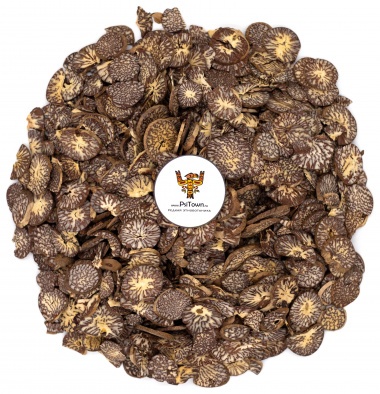 Бетельный Орех, плод резаный (Areca Catechu) — PsiTown