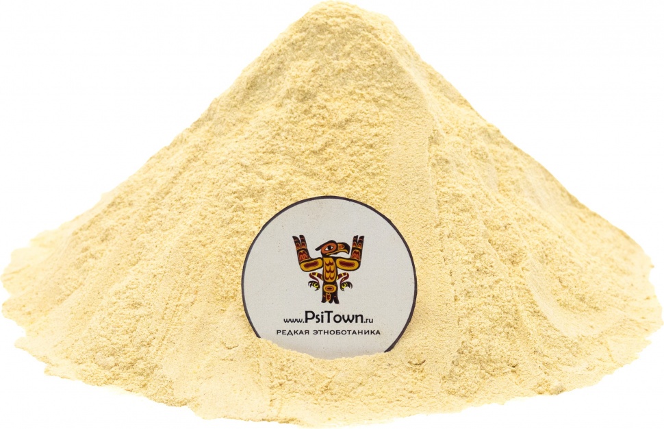 Шатавари, корень молотый (Asparagus root) фото 1 — PsiTown