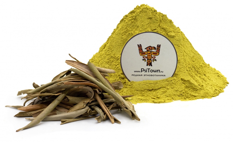 Олива лист, экстракт (Olea Europaea) фото 1 — PsiTown