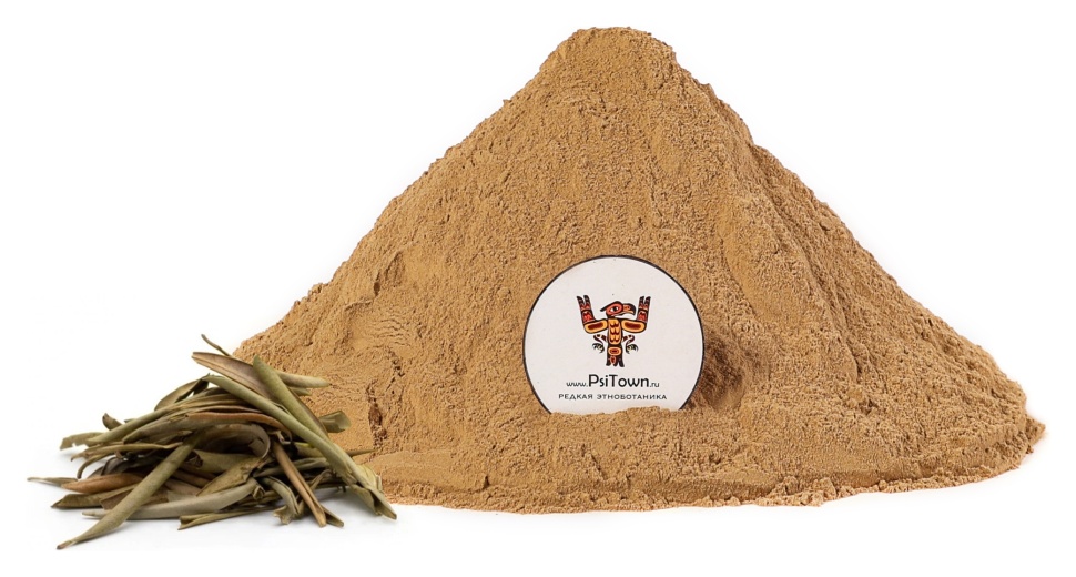 Олива лист, экстракт (Olea Europaea) фото 1 &mdash; PsiTown