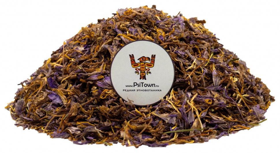 Шафран, цветки (Crocus sativus) фото 1 — PsiTown