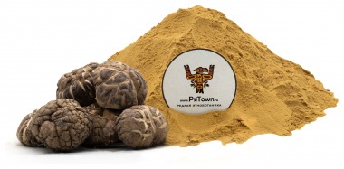 Шиитаке гриб, экстракт (Lentinula Edodes extract, 20% полисахаридов) — PsiTown