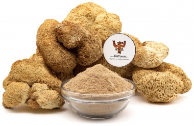 Ежовик Гребенчатый, мицелий (Lion&#039;s Mane, mycelium) — PsiTown