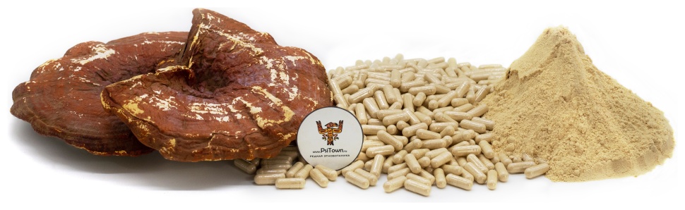 Рейши гриб, капсулы - мицелий (Ganoderma lucidum, mycelium) фото 1 — PsiTown