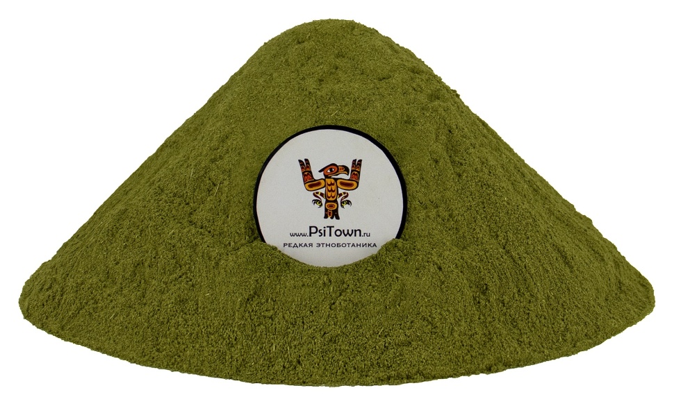 Моринга, экстракт листа (Moringa Oleifera, 15% полифенолов) фото 1 — PsiTown