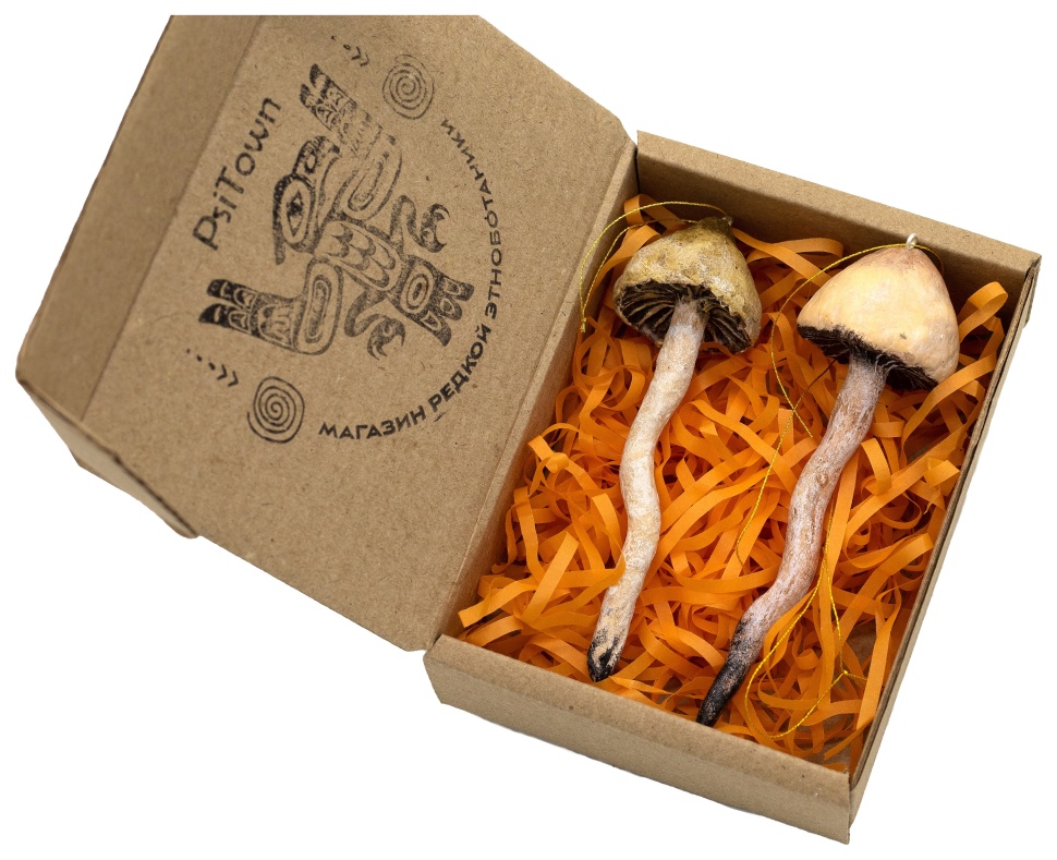 Подарочный набор «Shrooms» фото 1 — PsiTown