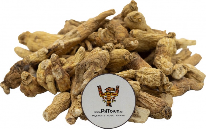 Жень Шень, корень (Panax Ginseng, root) Корень Женьшеня – нарицательное имя в мире адаптогенов. На протяжении последних 3 тысяч лет он превозносится многими традиционными системами медицины за то, что мягко заряжает энергией, повышает умственные и физические возможности, укрепляет иммунитет и помогает справляться с любым стрессом.
Но Женьшень недаром называют «корнем жизни», ведь он оказывает благотворное действие на многие органы и системы органов: восстанавливает мужскую фертильность, защищает мозг от нейротоксинов, снижают уровень сахара и холестерина в крови, а также нормализует обмен веществ и помогает сбрасывать лишний вес.