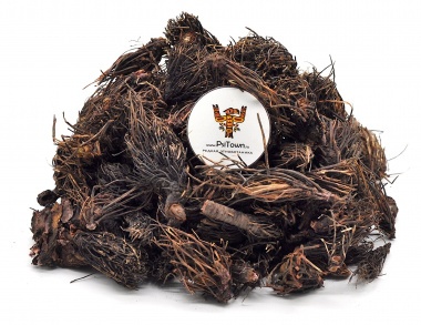 Красная Щетка, корни (Родиола Четырехраздельная, roots) — PsiTown