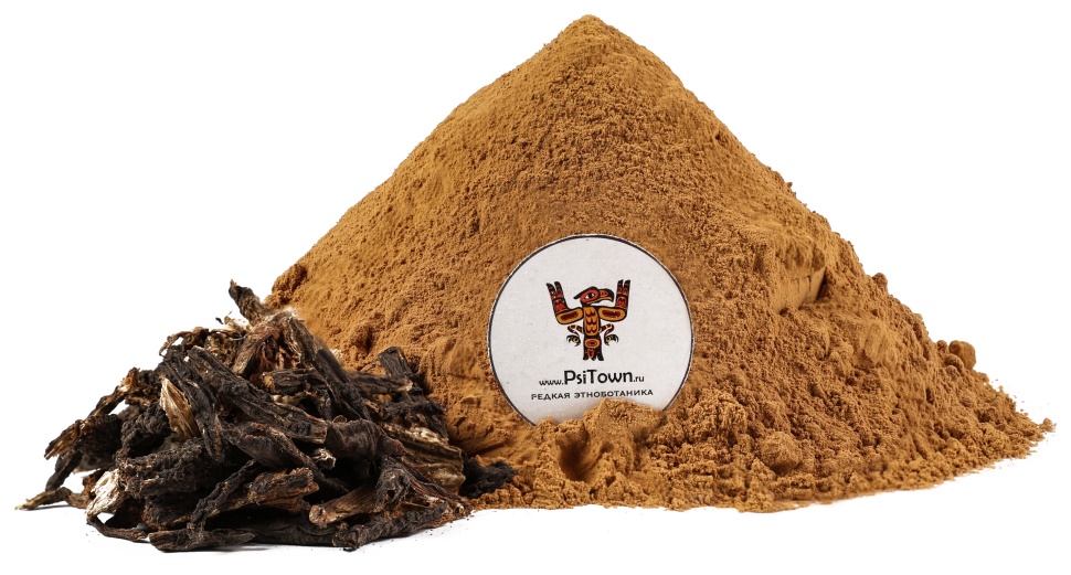 Дягель (дудник) корень, экстракт фото 1 — PsiTown