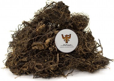 Левзея Сафлоровидная, корень (Маралий корень) — PsiTown