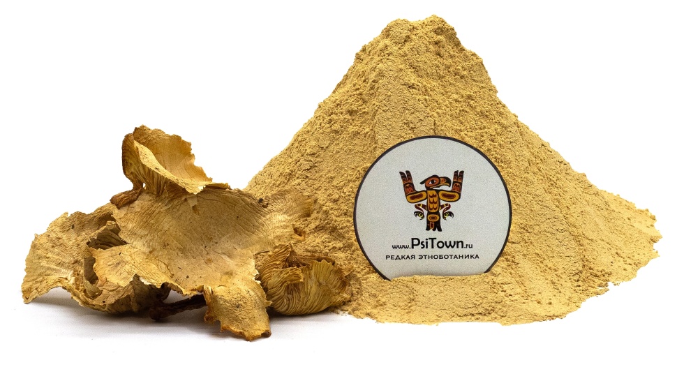 Лисички, молотые (Cantharellus Cibarius) фото 1 — PsiTown