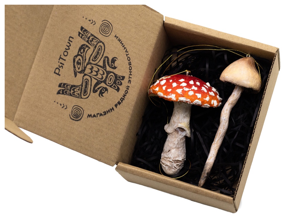 Набор «Magic Forest» фото 1 — PsiTown