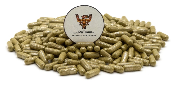 Моринга, капсулы - листья (Moringa Oleifera)  В составе Моринги находится огромное количество антиоксидантов, витаминов, микроэлементов и аминокислот, благодаря которым она крайне эффективно
- замедляет старение; - укрепляет иммунитет; - очищает организм от токсинов;- ускоряет метаболизм; - снижает давление и уровень сахара в крови; - восстанавливает тело после физических нагрузок. 
Размер капсулы: 0.4 гр.
