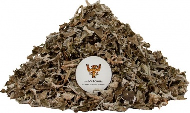 Исландский Мох, сушёный  (Цетрарий) — PsiTown