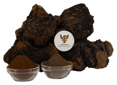 Чага, экстракт гриба (Inonotus Bliquus, 5% танины) — PsiTown