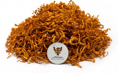 Опт - Кордицепс Милитарис, плодовое тело (Cordyceps Militaris) — PsiTown