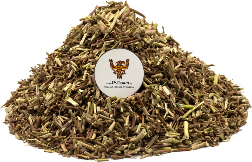 Джимнема Сильвестра, стебли (Гурмар) фото 1 — PsiTown