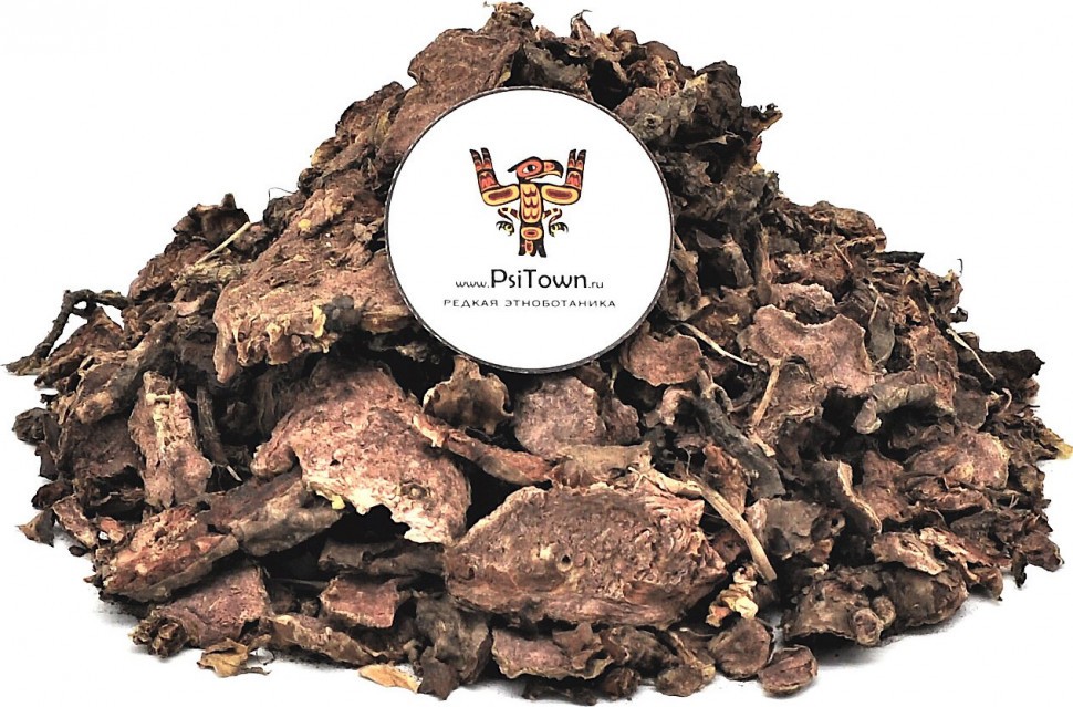 Родиола Розовая, корень (Rhodiola Rosea, Золотой Корень) фото 1 — PsiTown