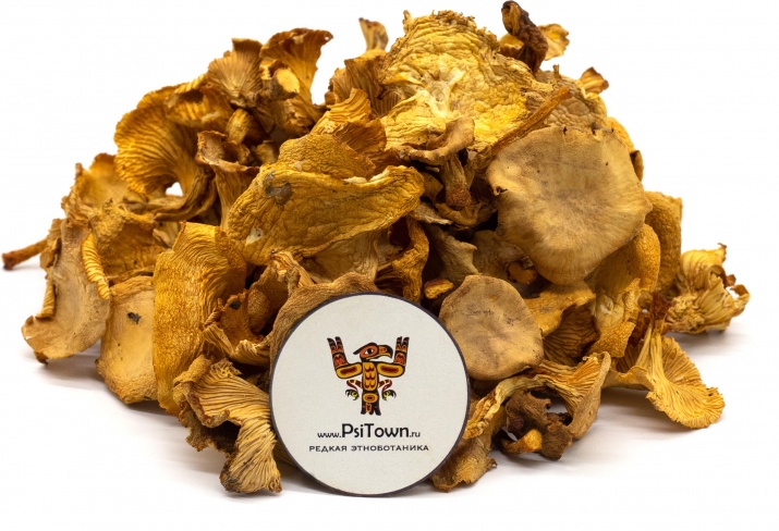 Лисички сухие, цельный гриб (Cantharellus Cibarius) Лисичка (Cantharellus cibarius ) — природный антипаразитарный щит и иммунный активатор в одном флаконе. Этот ярко-жёлтый лесной гриб разрушает яйца глистов, парализует взрослых паразитов, очищает кишечник и восстанавливает внутреннюю защиту. Благодаря уникальному соединению — хиноманнозе — лисичка действует мягко, но без пощады: она прерывает жизненный цикл паразитов и создаёт для них в организме враждебную среду.
Дополнительно продукт поддерживает работу печени, выводит токсины, укрепляет иммунитет и восстанавливает барьеры слизистых.

