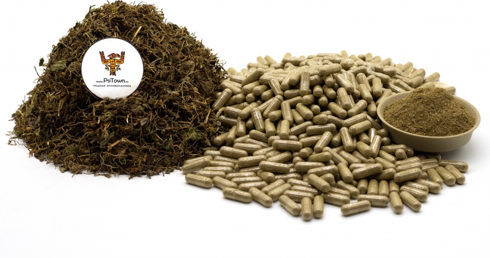 Готу Кола, капсулы - лист (Центелла Азиатская) фото 1 — PsiTown