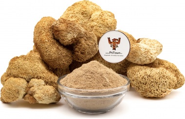 Ежовик Гребенчатый, молотый гриб (Гериций, Lion&#039;s Mane) — PsiTown