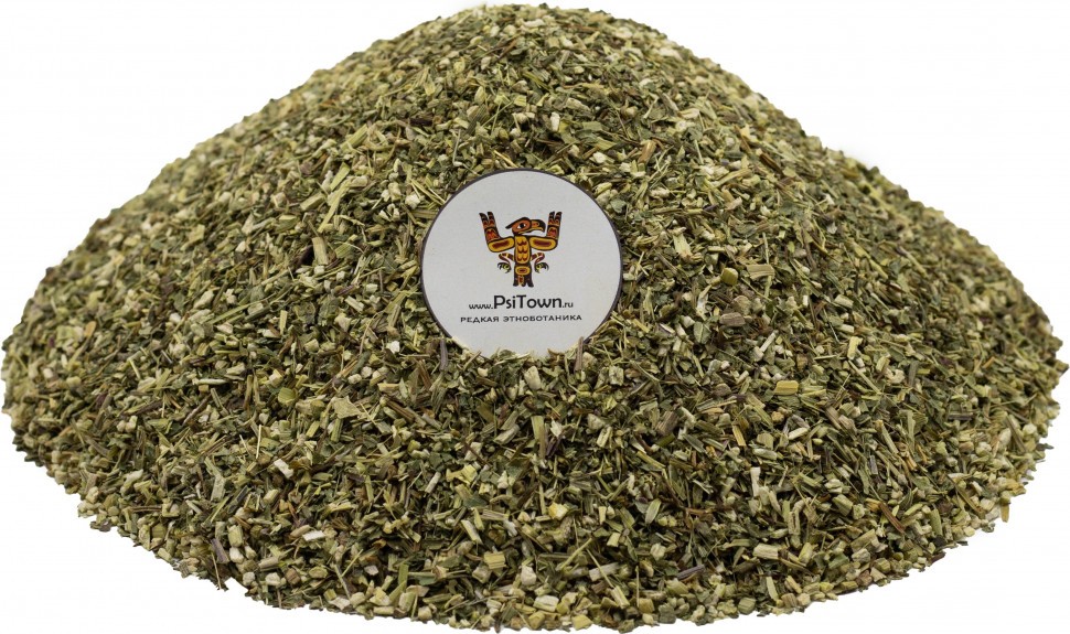 Эхинацея Пурпурная, молотая (Echinácea Purpúrea) фото 1 — PsiTown