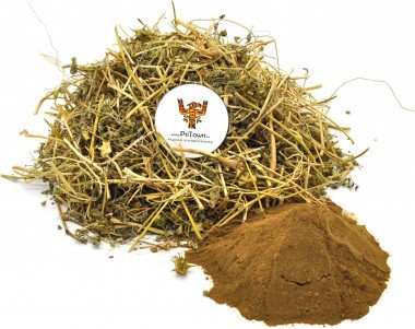 Трибулус, Якорцы Стелющиеся, экстракт (Tribulus Terrestris, 40% сапонинов) — PsiTown