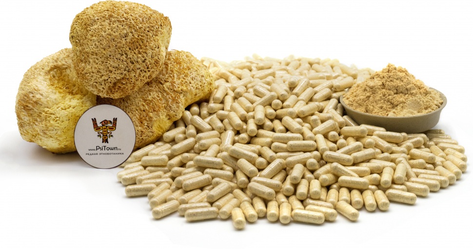 Ежовик Гребенчатый, капсулы - плодовое тело (Гериций, Lion's Mane, capsule) фото 1 — PsiTown