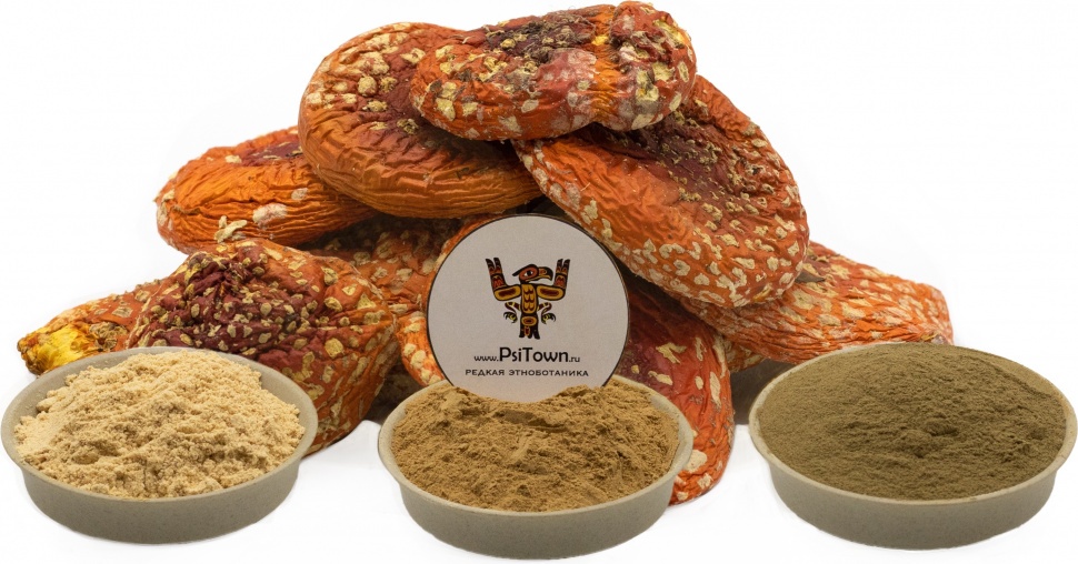 Грибной микс "Адаптоген, Антистресс" фото 1 &mdash; PsiTown