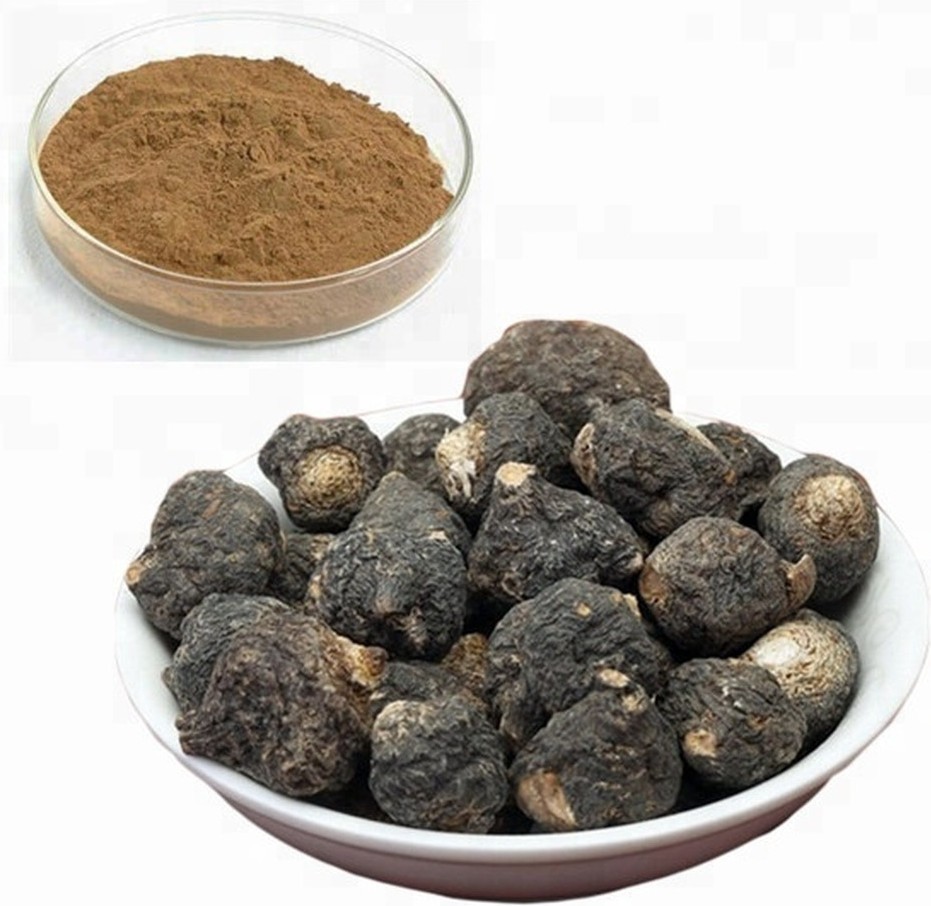 Мака Перуанская черная, корень (Black Maca) фото 1 — PsiTown