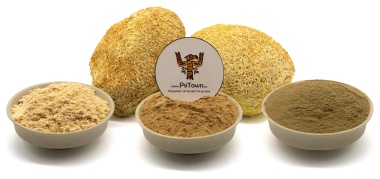 Грибной микс &quot;Ноотроп, Память&quot; — PsiTown