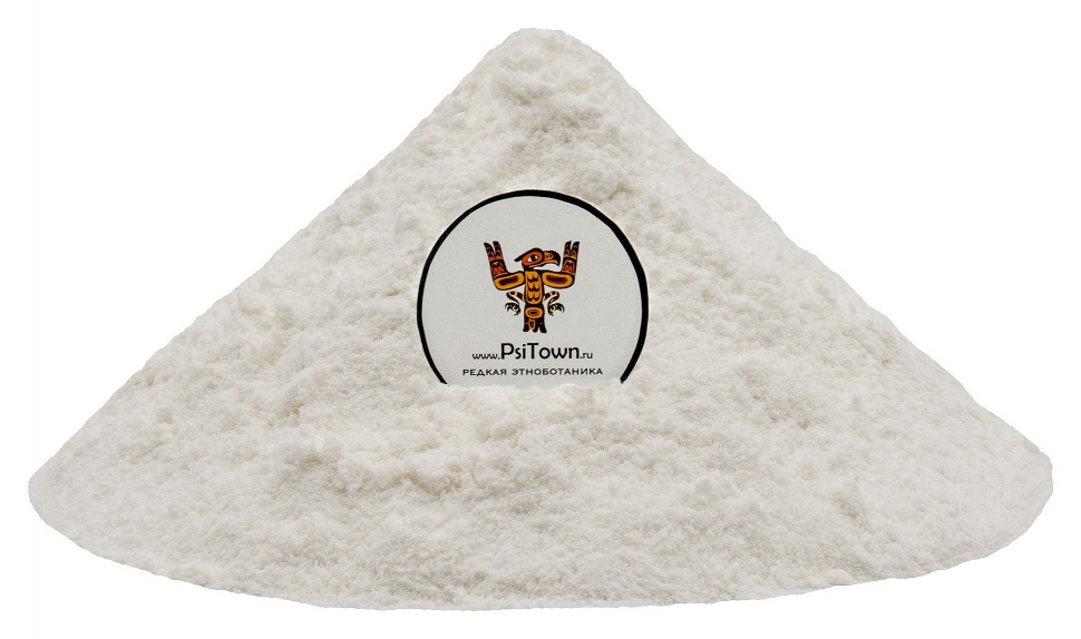 Сабаль пальма, экстракт плодов (25% жирных кислот) фото 1 — PsiTown