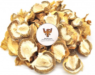 Опт - Весёлка обыкновенная, плодовое тело — PsiTown