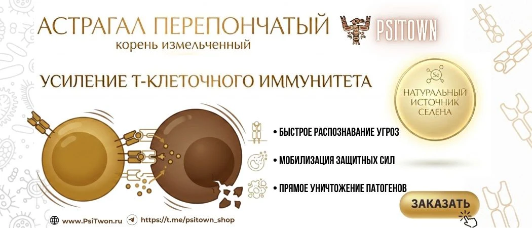 Специальное предложение